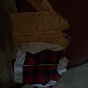 Red and Black Plaid Vest with Gray Sleeves